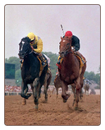 Sunday Silence 1989 Preakness Stakes 11x14 Signed Photo #1