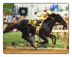 Sunday Silence 1989 Preakness Stakes 8x10 Signed Photo #2