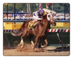 Tabasco Cat 1994 Preakness Stakes 8x10 Signed