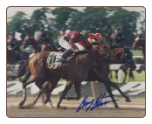 Victory Gallop 1998 Belmont Stakes 8x10 Photo Signed